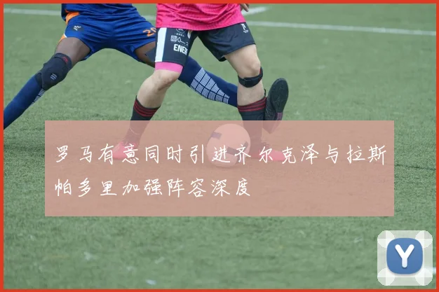 罗马有意同时引进齐尔克泽与拉斯帕多里加强阵容深度