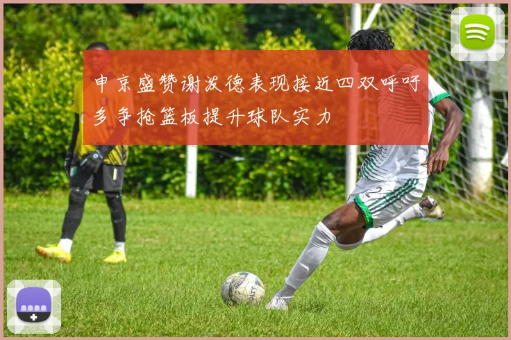 申京盛赞谢泼德表现接近四双呼吁多争抢篮板提升球队实力
