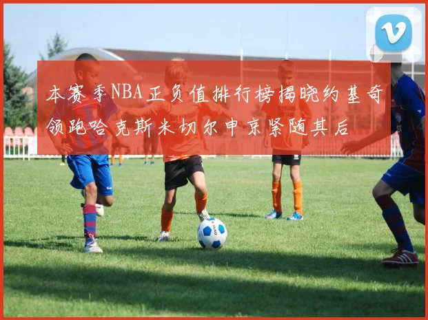本赛季NBA正负值排行榜揭晓约基奇领跑哈克斯米切尔申京紧随其后