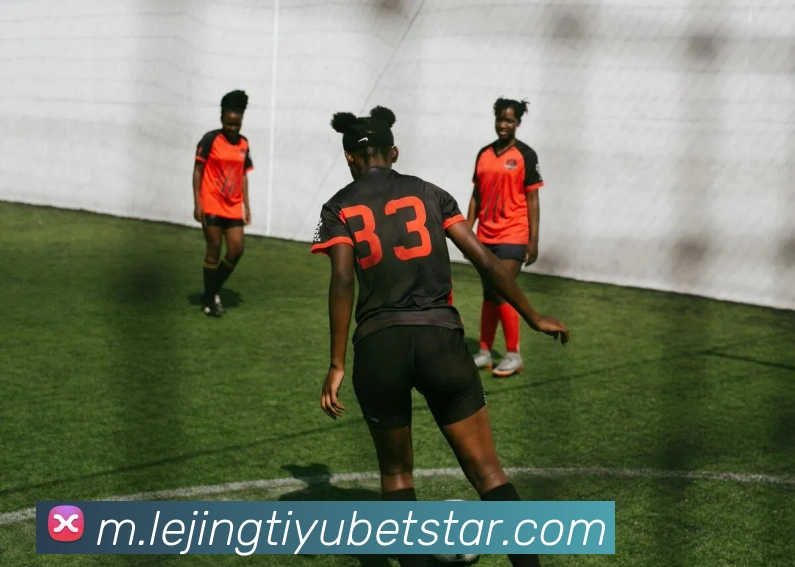 App Interface Preview